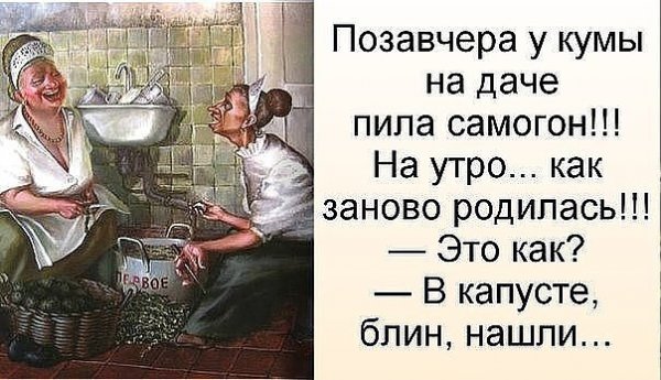 Кума картинки прикольные