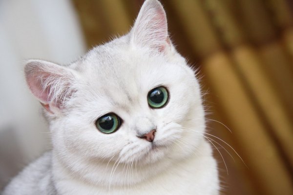 Спокойной ночи солнышко