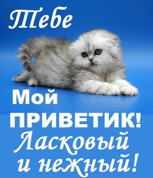 Приветик любимому открытка