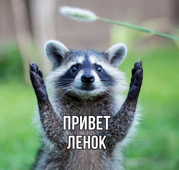 Ну Лена рассказывай
