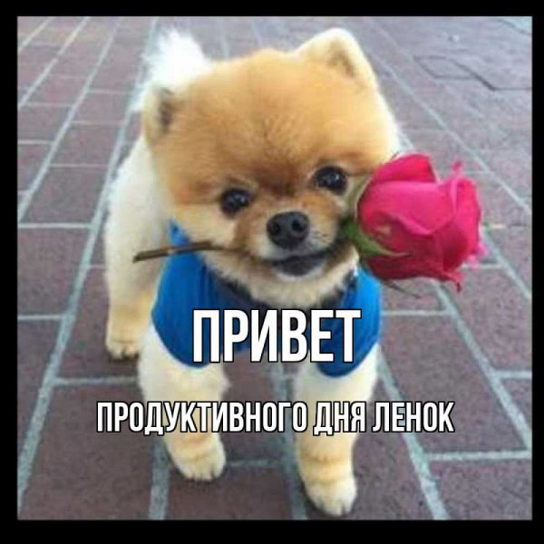 Приколы про ленку