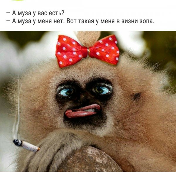Приколы про ленку