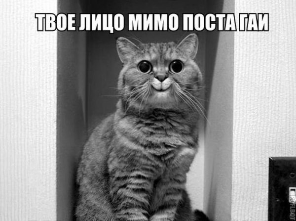 Как у тебя дела картинки