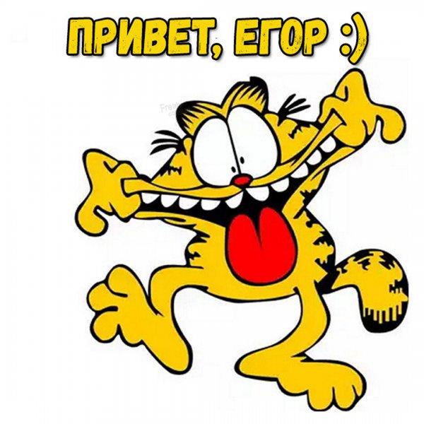 Мемы про Егора