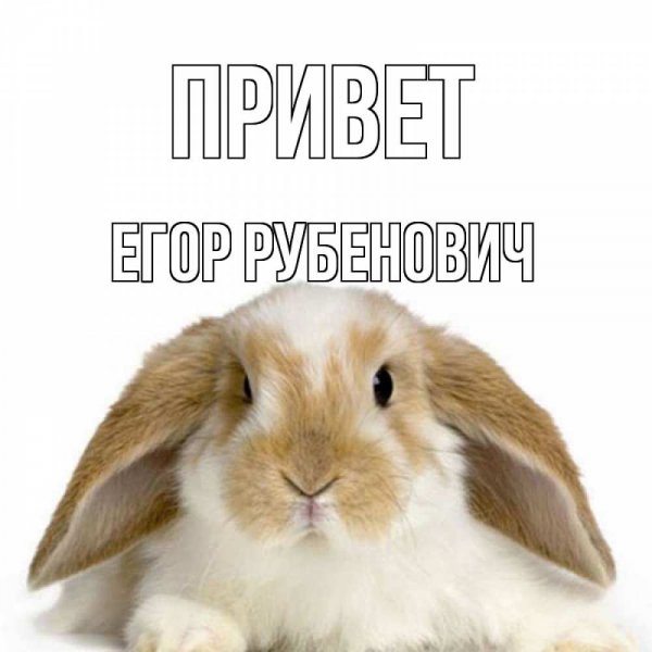 Картинки с надписью Егор