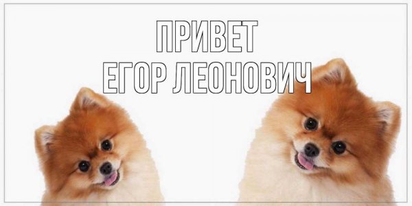 Влад а4 сигны