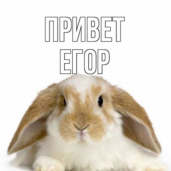 Привет Егор
