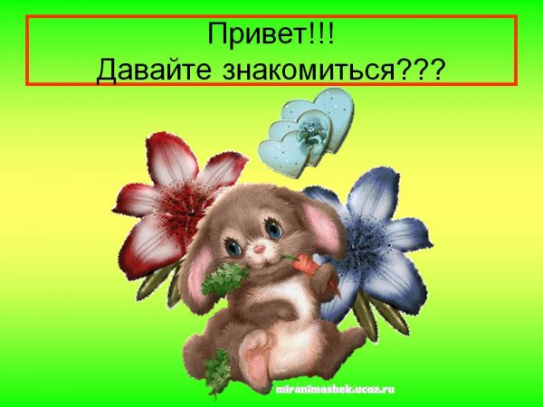 Привет давай знакомиться
