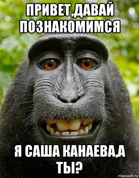 Привет познакомимся