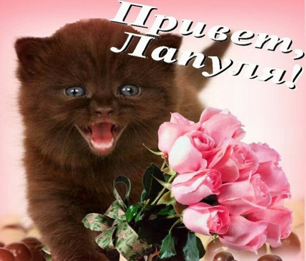 Открытки привет Танюшка