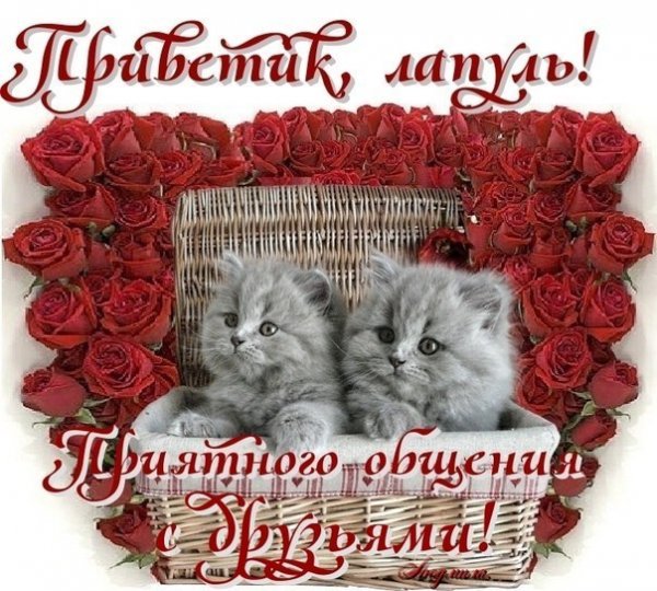Лапулечка открытка