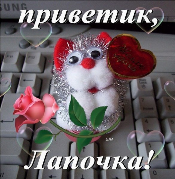 Приветик любимая