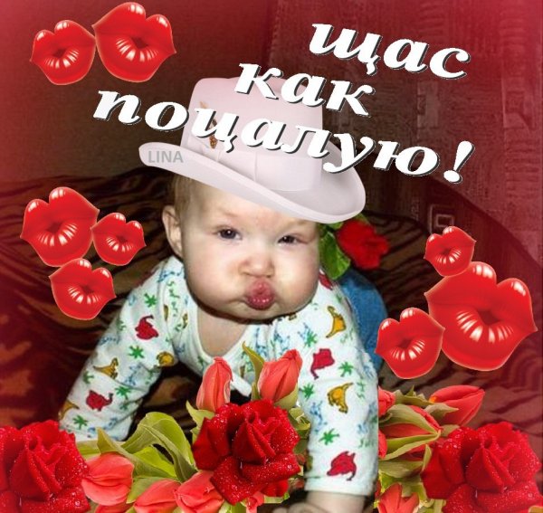 Люблю тебя красавица