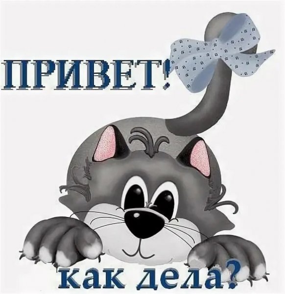Привет прикольные