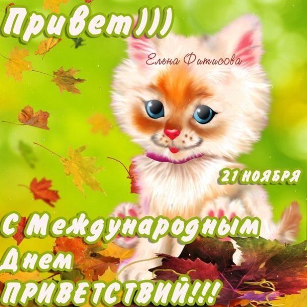 Привет прикольные