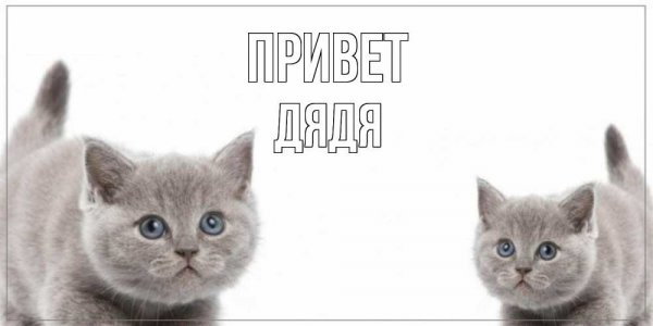 Привет Марк картинка