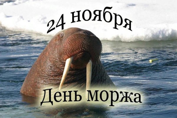 Привет из России картинки
