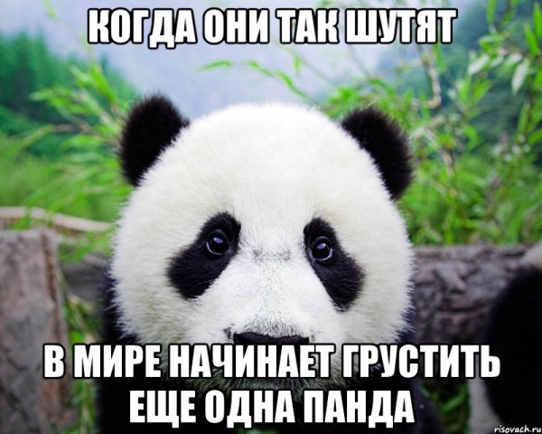 Статус про панду