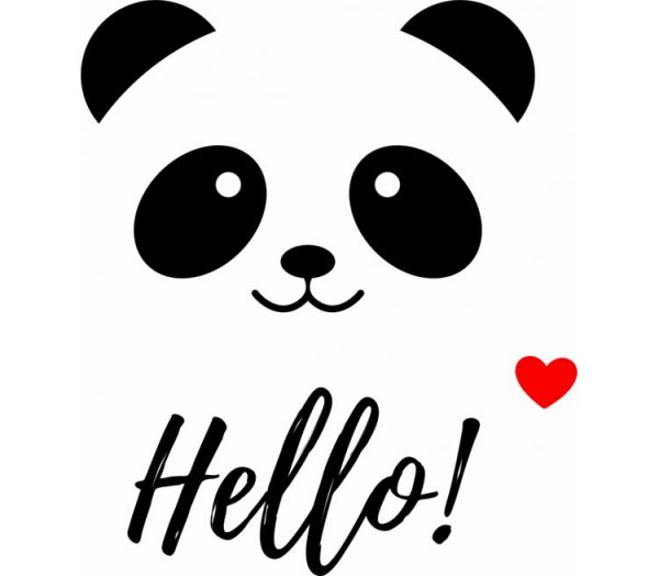 Футболка мужская Панда hello!