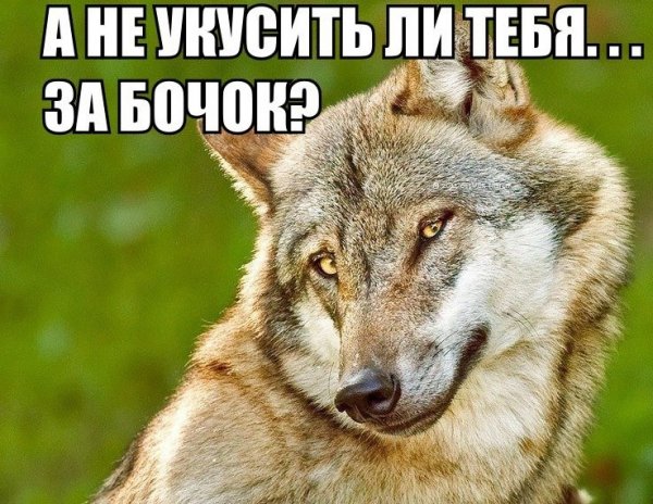 Добрый волк