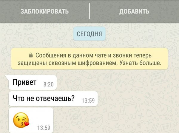 Анимашки привет