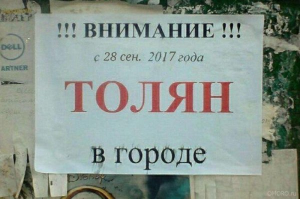 Шутки про толика