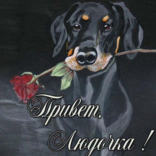 Цветы для Людмилки