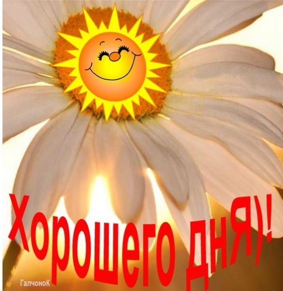 Цветы для Людочки