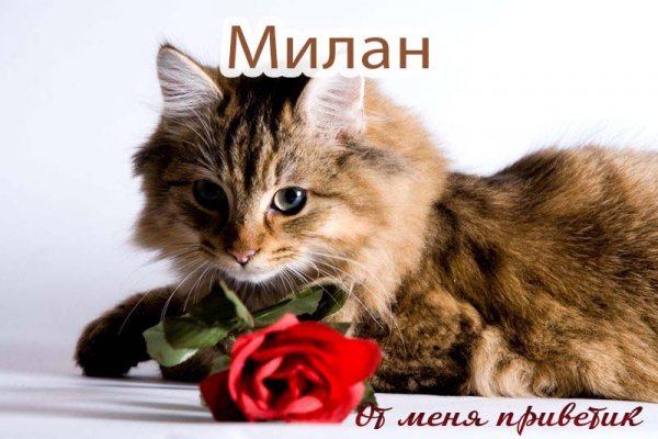 Милане 1 годик поздравления
