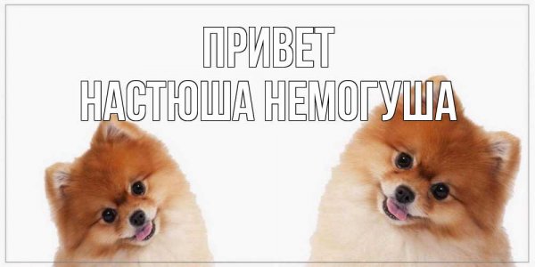 Привет Настюша картинки