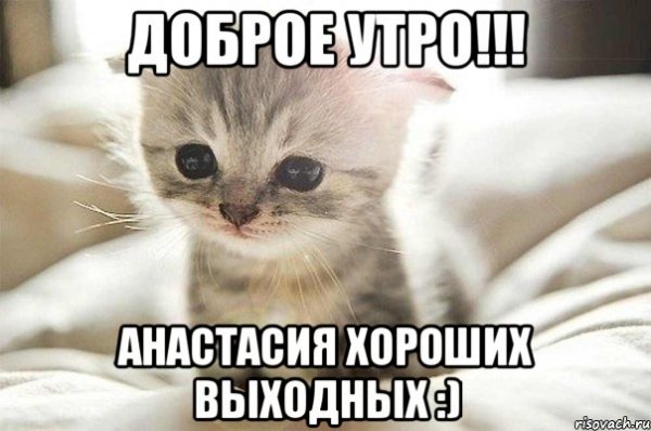 Привет Настя Мем