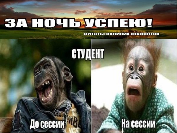 Студенческие шутки про сессию