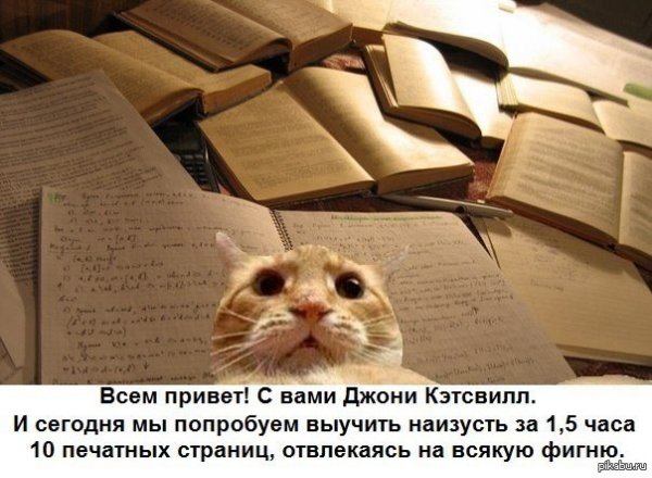 Пожелания на сессию прикольные