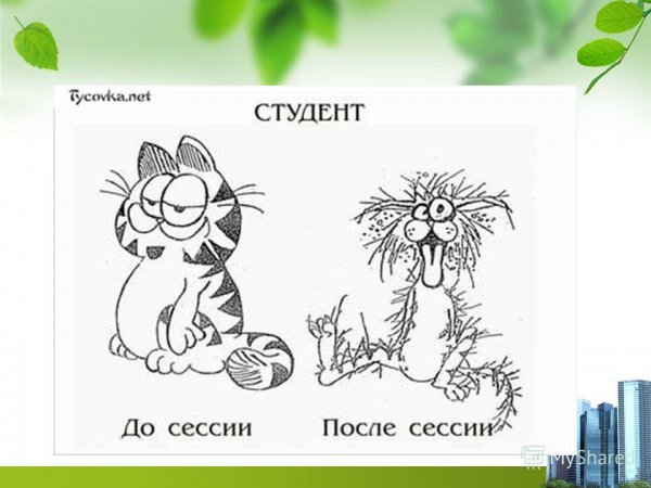 Сессия сдана