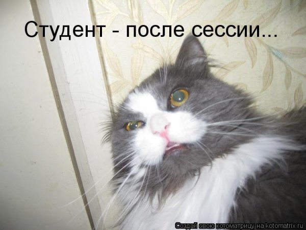 Сессия приходит сессия
