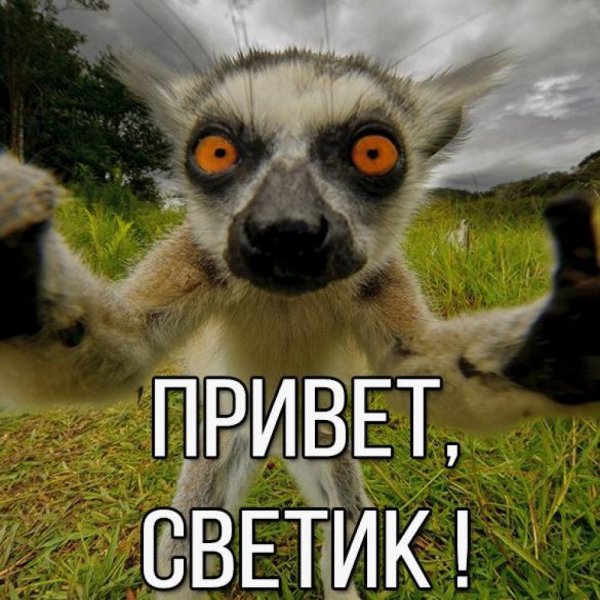 Привет Олег картинки