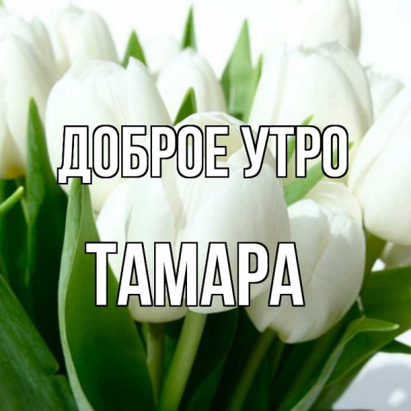 Светик приветик