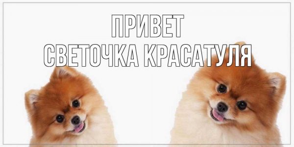 Светик приветик
