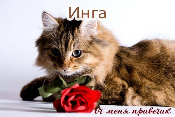 Картинки Инги привет