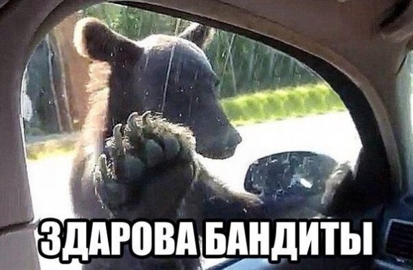 Гифки привет братва