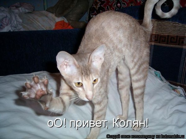 Привет Коляну открытка