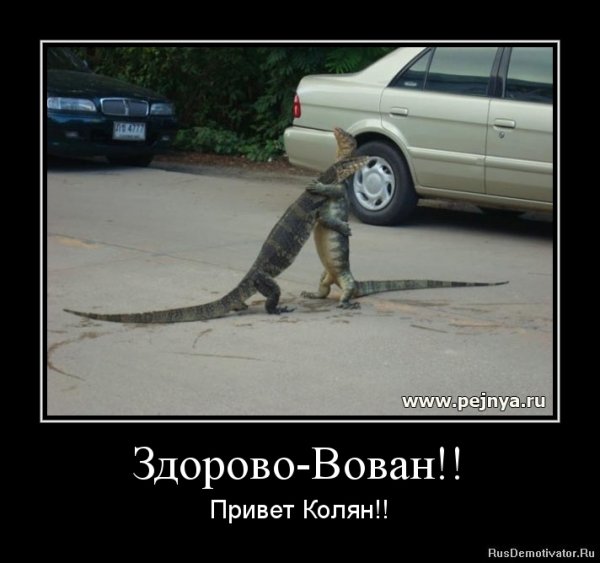 Жди меня прикол