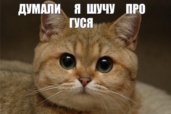 Город Раменское Колян