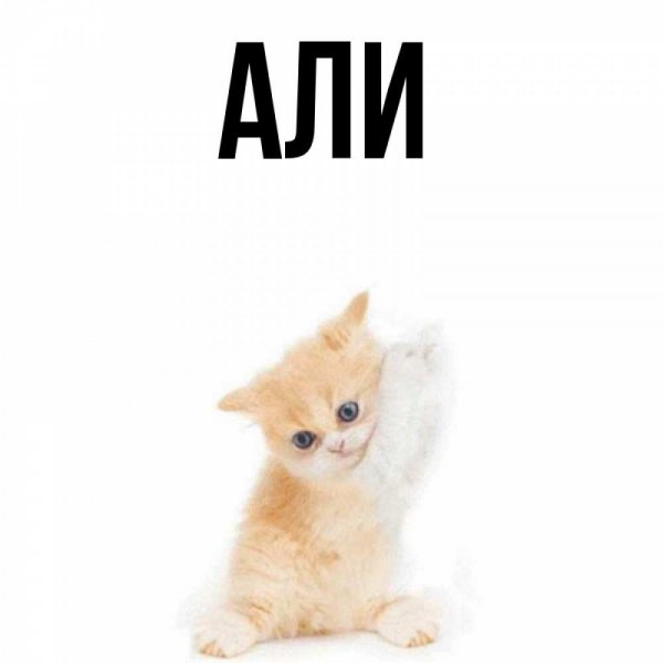 Ленуся картинки