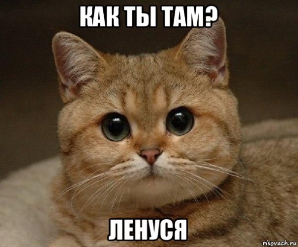 Как ты там