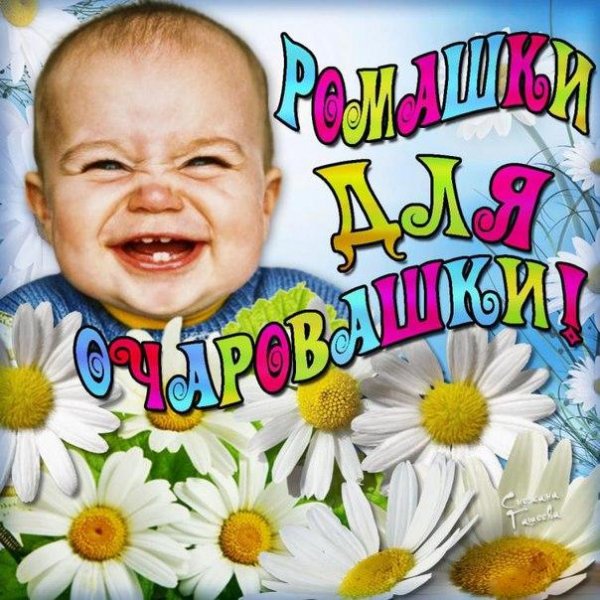 Открытки ромашки для очаровашки