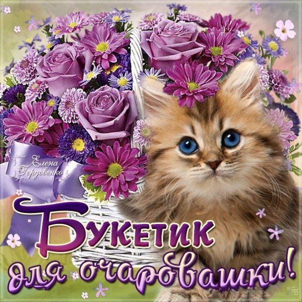 Анимашки очаровашки