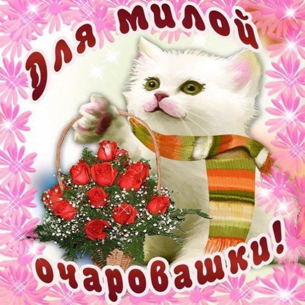 Ромашки для милашки