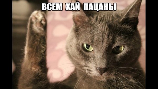 Привет картинки