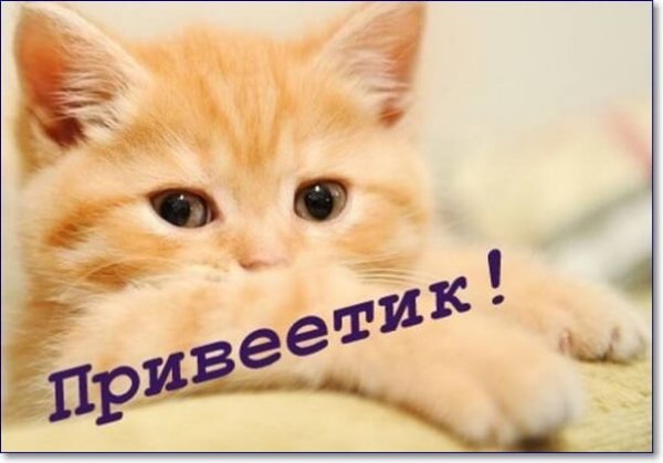 Привет рада тебя видеть картинки